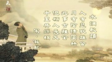 天韵舞春风