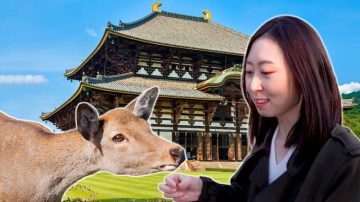 韩流世界