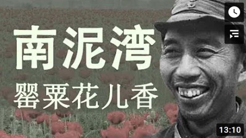 老干部：中共当年种鸦片 掌权后灭口处死所有毒贩