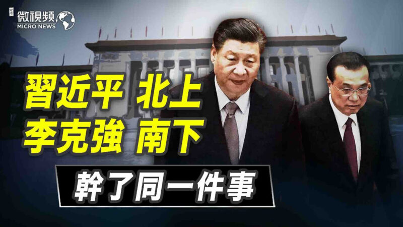 【微视频】习*近*平北上和李克强南下干了同一件事