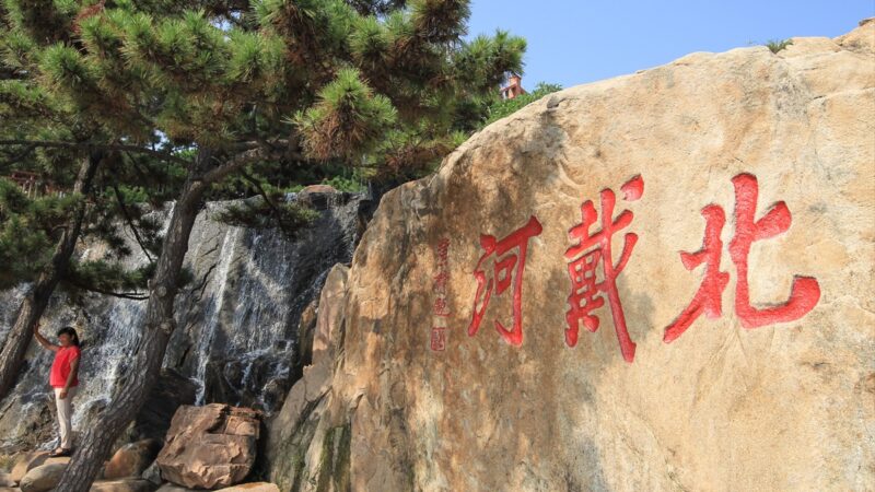 北戴河会议前再震荡！苗华免职 军中清洗升级