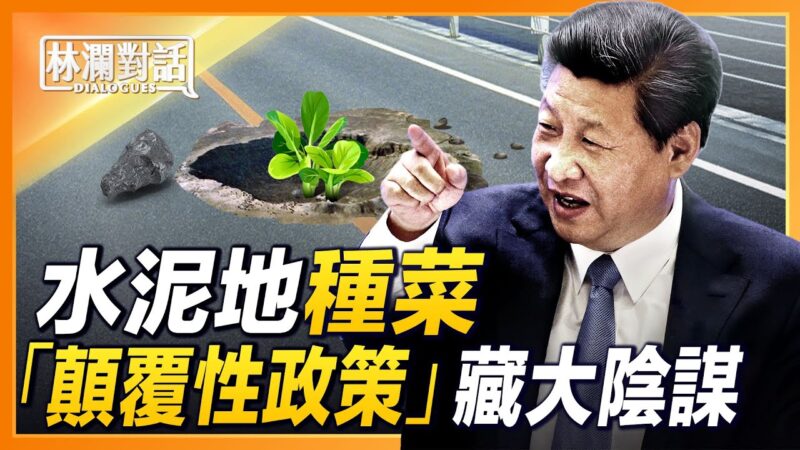 昏招频出“促”产粮 中共闭关锁国心急？