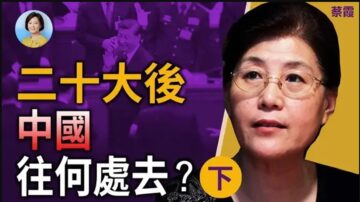 方菲访谈