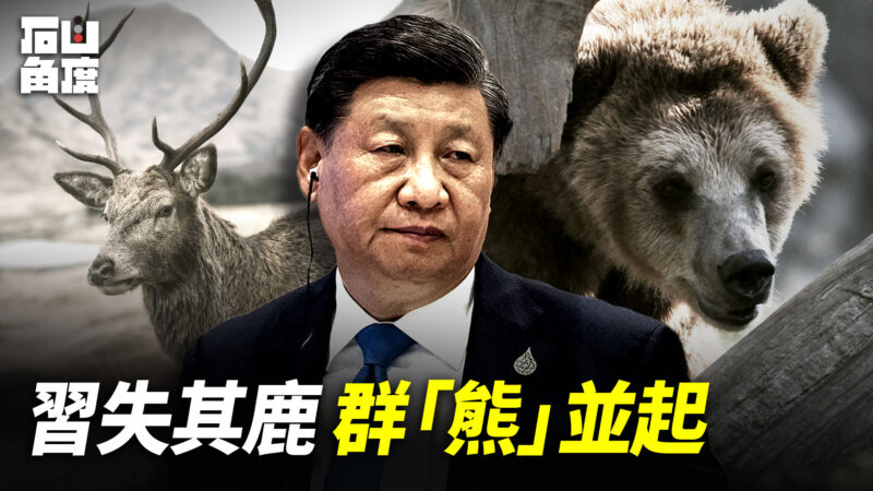 【有冇搞错】习失其鹿 群“熊”并起