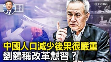 横河观点
