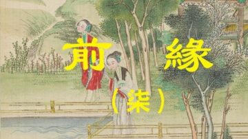 闱闱道来