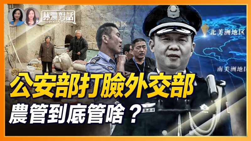 【林澜对话】公安部打脸外交部 农管到底管啥？