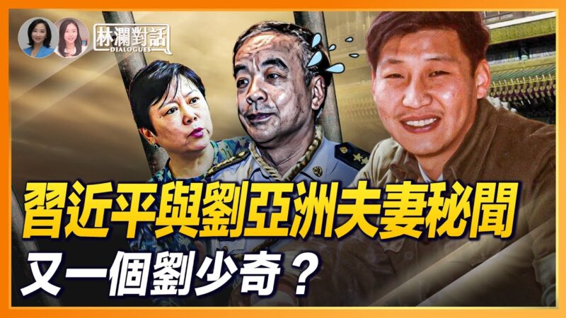【林澜对话】习*近*平与刘亚洲夫妻秘闻 又一个刘少奇？