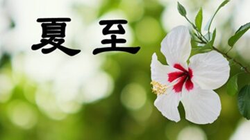 夏至习俗要吃一物 “夏九九歌”流传千年