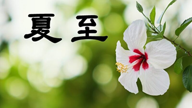 夏至习俗要吃一物 “夏九九歌”流传千年