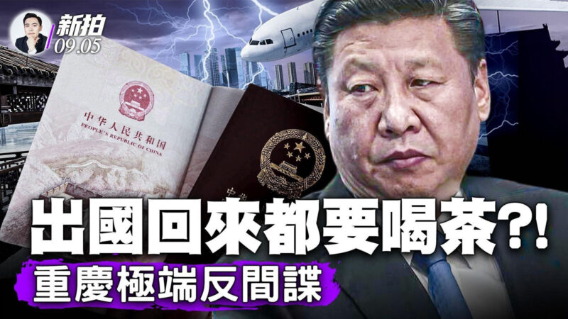 【拍案惊奇】中国股市 你还敢往里跳吗？