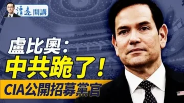 远见快评