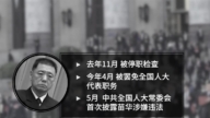 北戴河会议前夜苗华被免职 军委高层大清洗