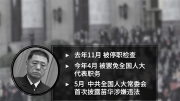 北戴河会议前夜苗华被免职 军委高层大清洗